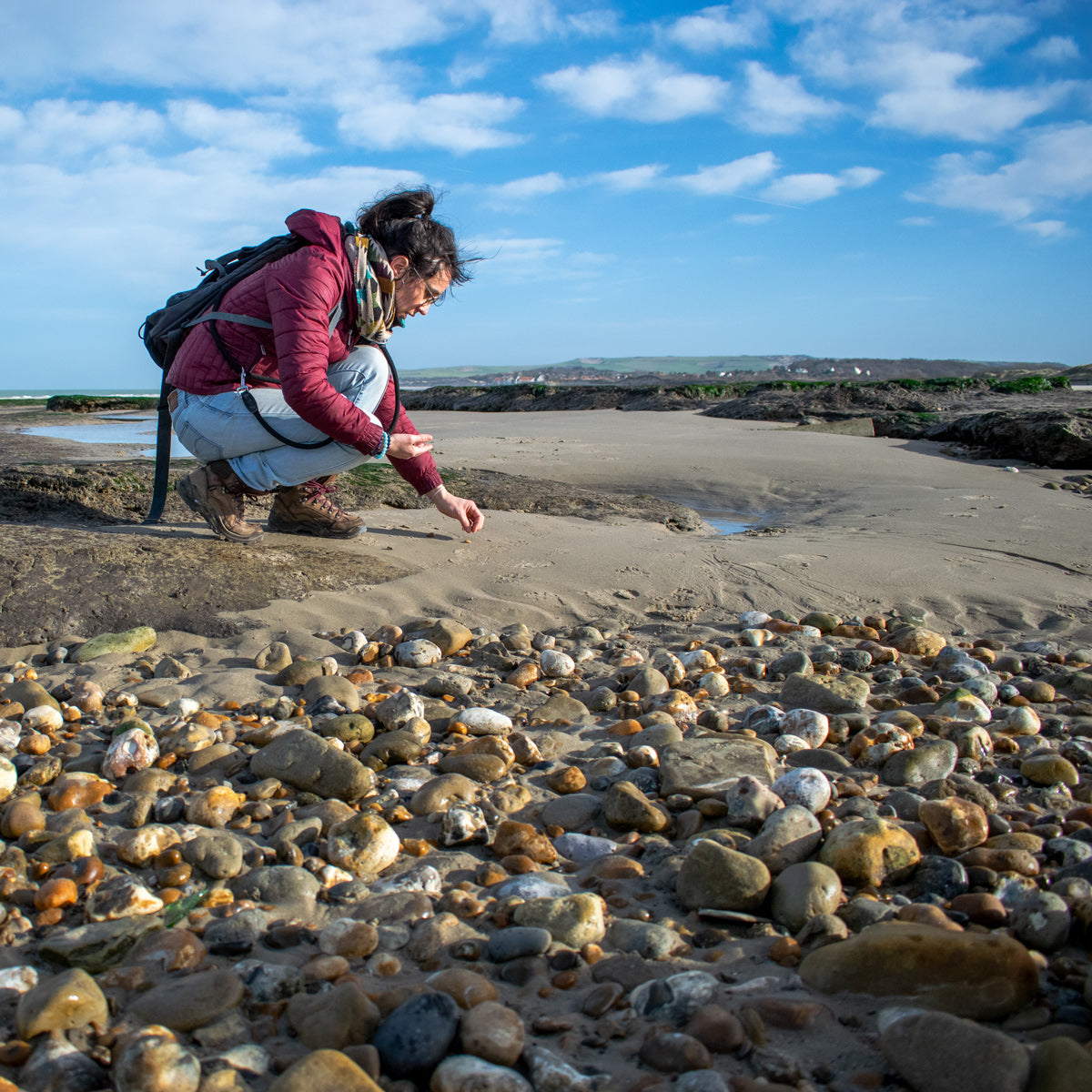 Ramassage de coquillages sur la plage de Wissant