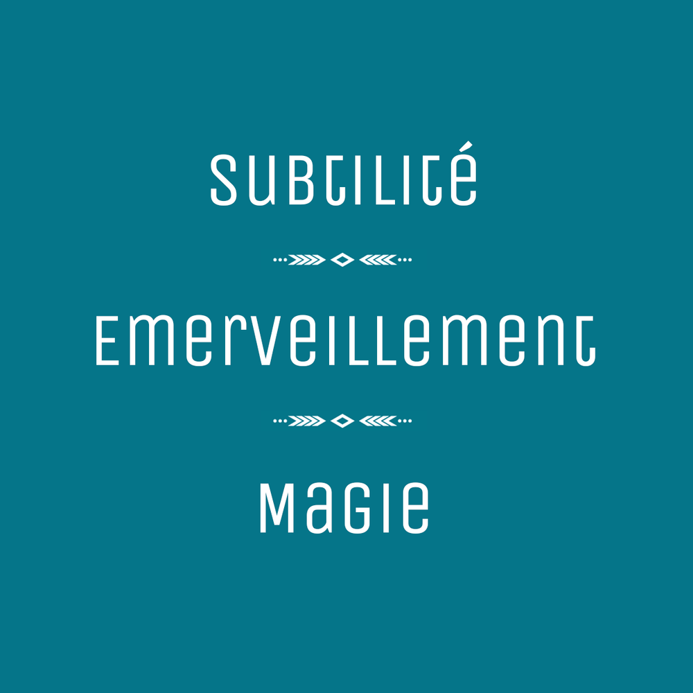 
                  
                    Mini Attrape-rêve "Rayon Vert"
                  
                