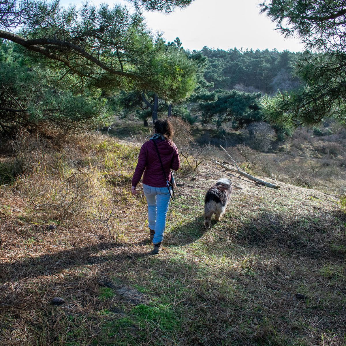 promenade d'Emilie et Niulu dans la forêt